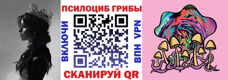 Псилоцибиновые грибы Magic Shrooms  Каменка 