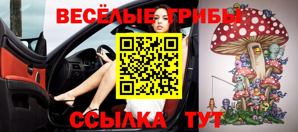 Псилоцибиновые грибы прущие грибы  Вход с VPN  Каменка 