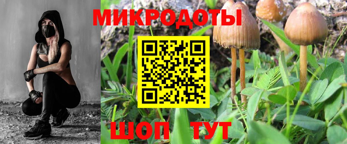 Псилоцибиновые грибы прущие грибы Каменка