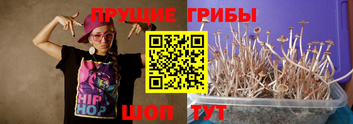 Меф МЯУ МЯУ  LSD-25  A PVP СОЛЬ   Экстази  Канабис  Каменка  Вход с VPN  Наркошоп  ГАШИШ  МЕФ кристаллы 